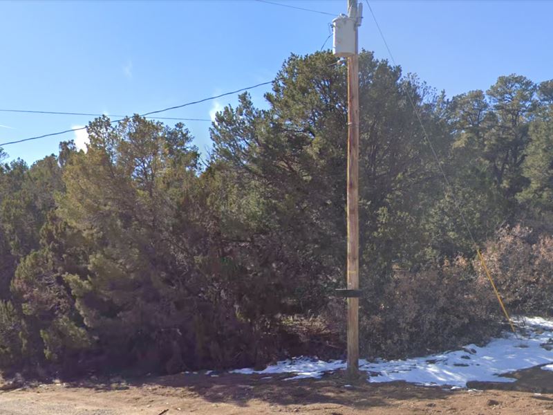Edgewood Lot with Electric : Edgewood : Torrance County : New Mexico