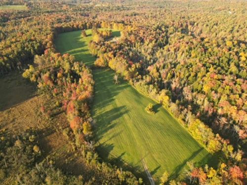 Abundance of Opportunities, 160 ac : Boonville : Oneida County : New York