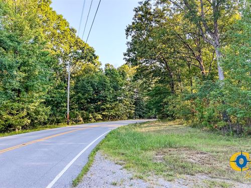 Highway 232 South 1 : Stewart : Tennessee