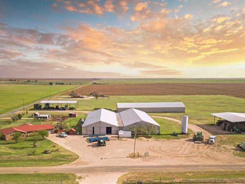 Farmland, Trophy Hunting & Homes : Sudan : Bailey County : Texas