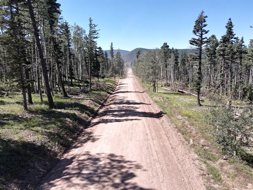 Lakes & National Forest All in One : Fort Garland : Costilla County : Colorado