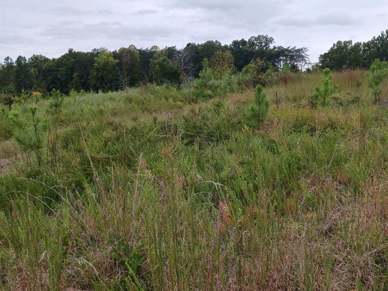 Beautiful Tract : Farmville : Prince Edward County : Virginia