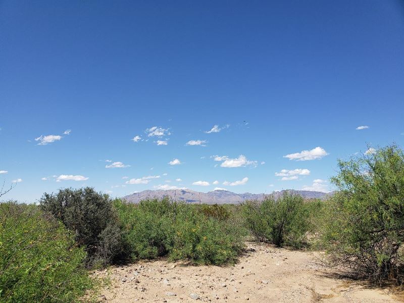 Southeast Hudspeth County River, Land for Sale in Texas, 383597 LANDFLIP