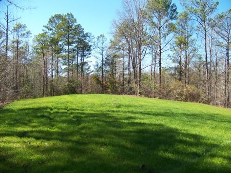 Warrior Stand 546 Acres : Warrior Stand : Macon County : Alabama