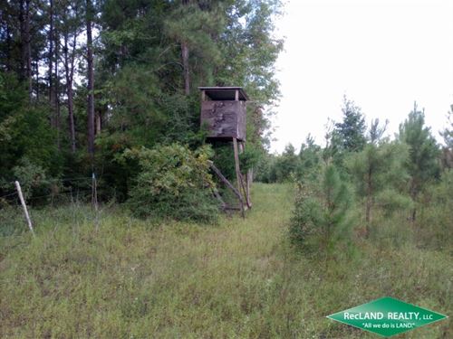 26 Ac Hunting Tract Near Kisatchie : Montgomery : Winn Parish : Louisiana