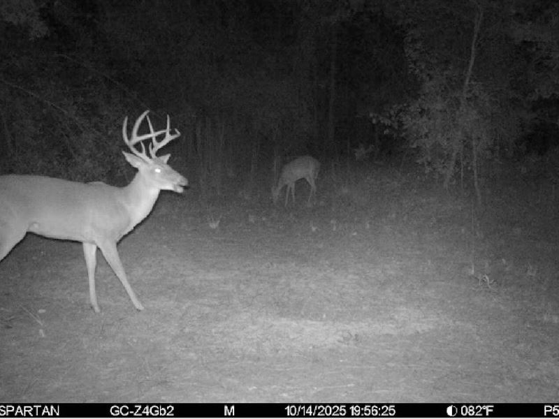 Oregon Trial Hunting Retreat : Greenville : Madison County : Florida