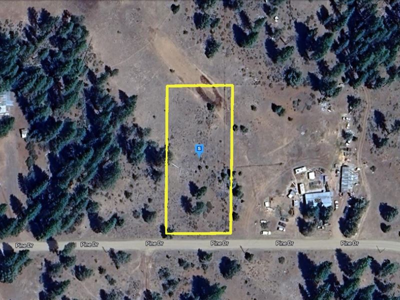 Residential Lot for $462.09 Down : Lookout : Modoc County : California
