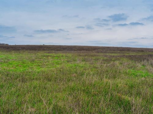 1.75 Acres Near Austin : Kingsbury : Guadalupe County : Texas