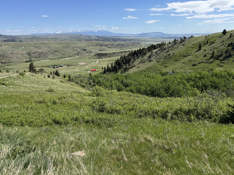 Canyon Mountain 40 : Livingston : Park County : Montana