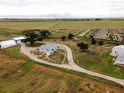 17327 County Road 46 : Sterling : Logan County : Colorado