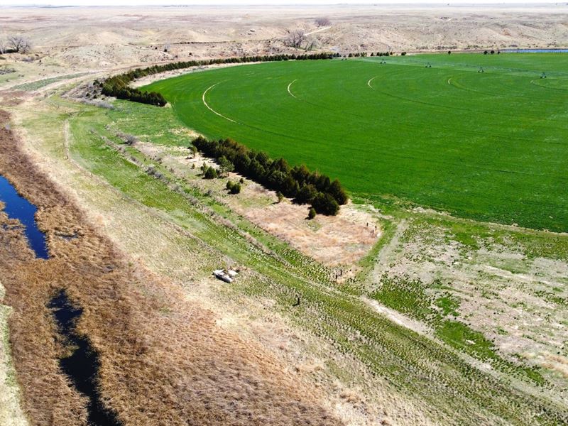 Cedar Creek Farm : Sterling : Logan County : Colorado