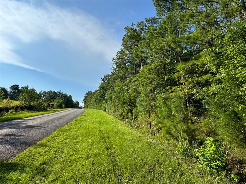 4 Acre Waverly Mini Farm : Waverly : Tallapoosa County : Alabama