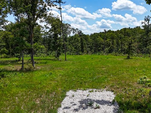 Deer and Turkey Abound Here : Houston : Texas County : Missouri
