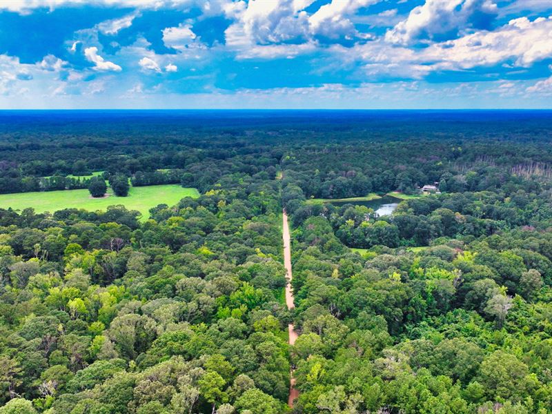 15 Acres with Power & County Water : Clinton : East Feliciana Parish : Louisiana