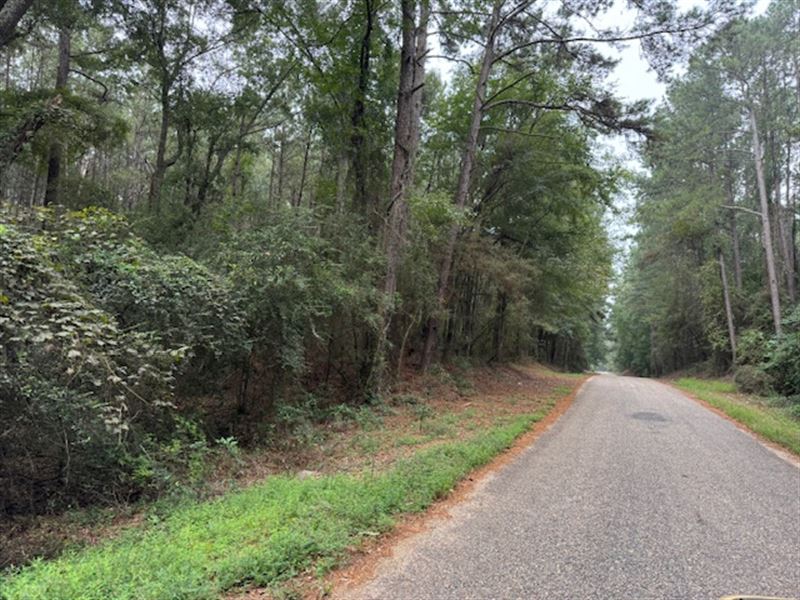 8.56 Acres, Tylertown, MS : Tylertown : Walthall County : Mississippi