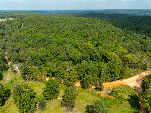 5 Acres, NO Restrictions, Izard : Evening Shade : Sharp County : Arkansas