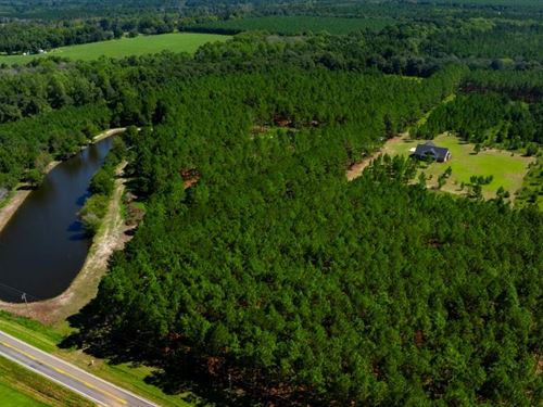 White Tail Homeplace : Claxton : Evans County : Georgia