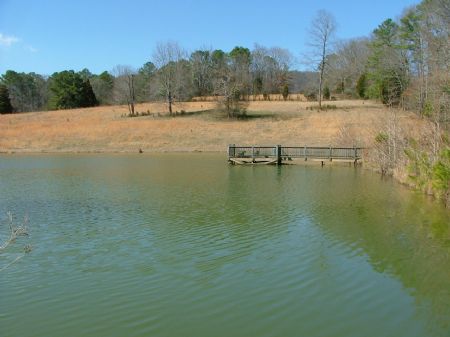 42 Ac Hidden Pond Farm : Grant : Marshall County : Alabama