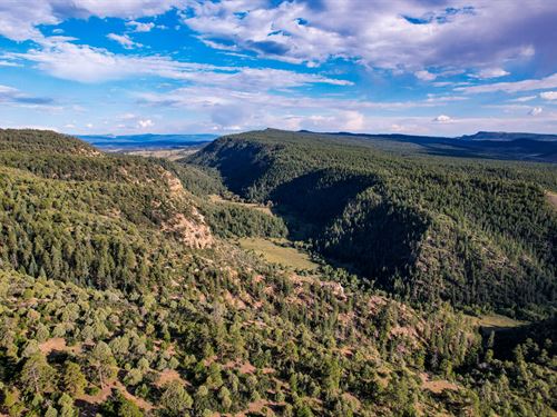 Webb Creek Canyon Ranch : Lumberton : Rio Arriba County : New Mexico