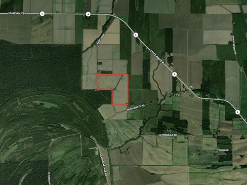 La, Tensas 121 Acres : Newellton : Tensas Parish : Louisiana