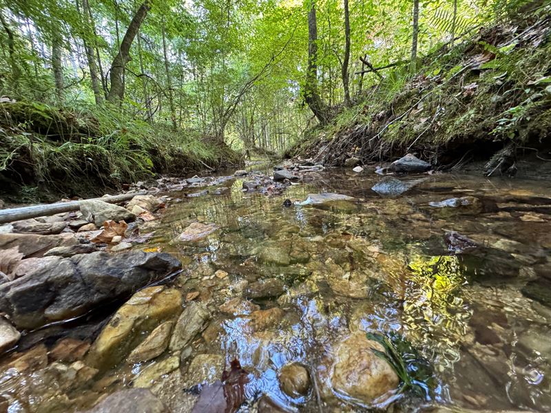 106 Acre Pine Plantation, Talla : Jacksons Gap : Tallapoosa County : Alabama