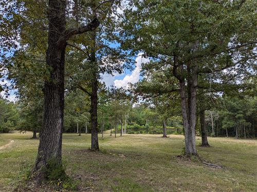 26 Acres With Pond : Matthews : Montgomery County : Alabama