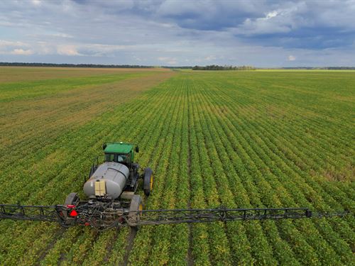 Irrigated Farm for Sale, Louisiana : Tallulah : Madison Parish : Louisiana