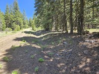 Ownership Can be Yours Today : Alturas : Modoc County : California