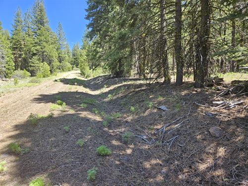 Ownership Can be Yours Today : Alturas : Modoc County : California