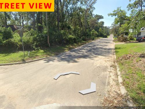 Seller Financing for $159 a Month : Madison : Florida