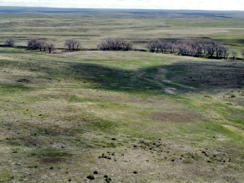 Willow Gulch Ranches : Deer Trail : Elbert County : Colorado