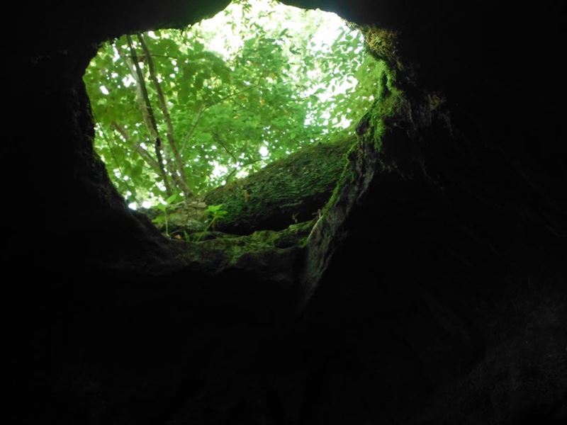 155 Secluded Acres with Cave : Mammoth Spring : Fulton County : Arkansas