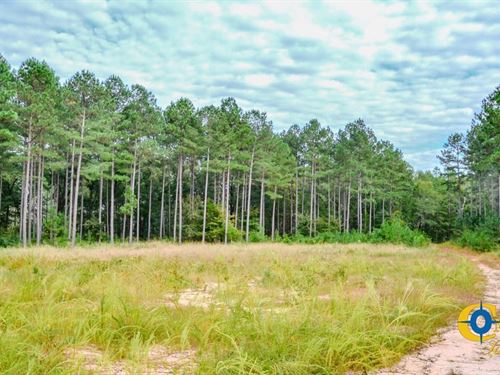 Padgetts Creek Tract : Union : South Carolina