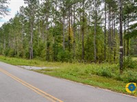 Padgetts Creek Tract : Union : South Carolina