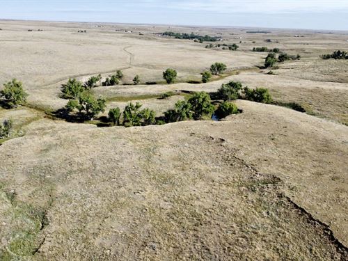 Willow Gulch 94 : Deer Trail : Elbert County : Colorado