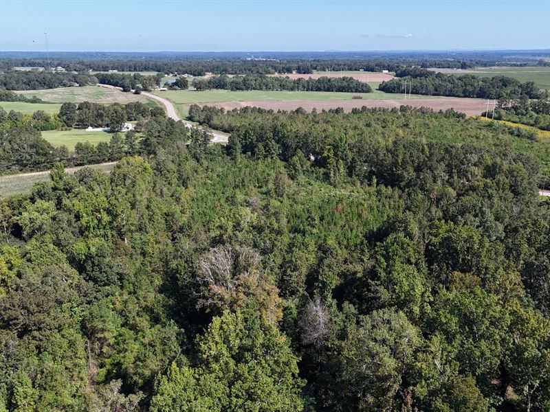 17 Acres in Autauga County : Deatsville : Autauga County : Alabama