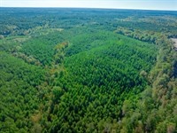 Dave Jenkins Road Tract : Blair : Fairfield County : South Carolina