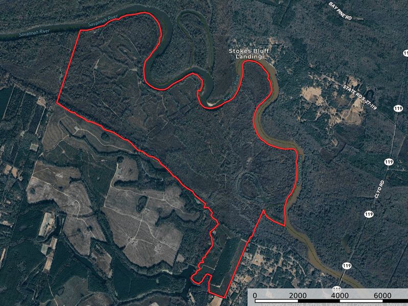 Fractional Ownership, H&D Hunting : Clyo : Effingham County : Georgia