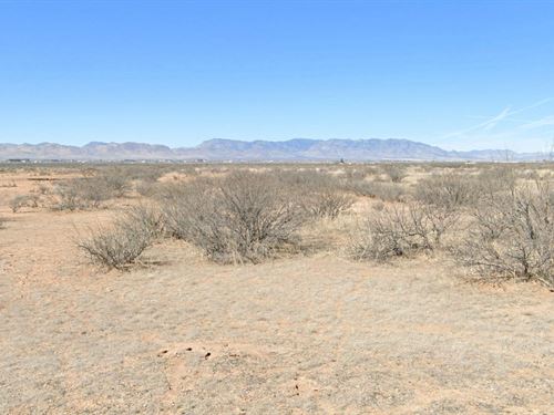 1.2 Ac Lot Among The Vinyards : Willcox : Cochise County : Arizona