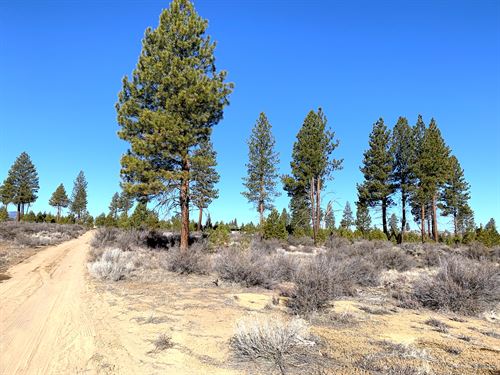 Utilities Nearby in Residential Lot : Chiloquin : Klamath County : Oregon