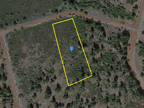 Ideal Getaway : Alturas : Modoc County : California