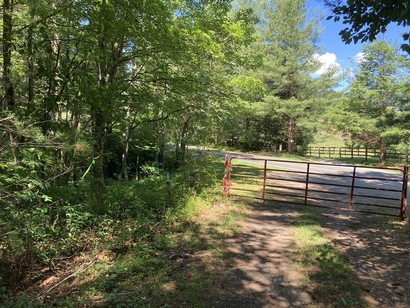Ashe County Camping Land, $549 Down : Laurel Springs : Ashe County : North Carolina