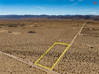 Desert Dreams : Joshua Tree : San Bernardino County : California