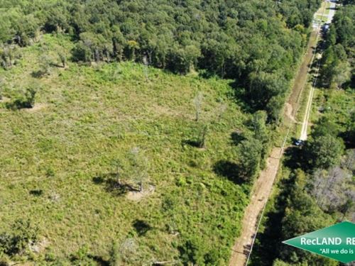 49.6 Ac, Tract for Development : Monroe : Ouachita Parish : Louisiana