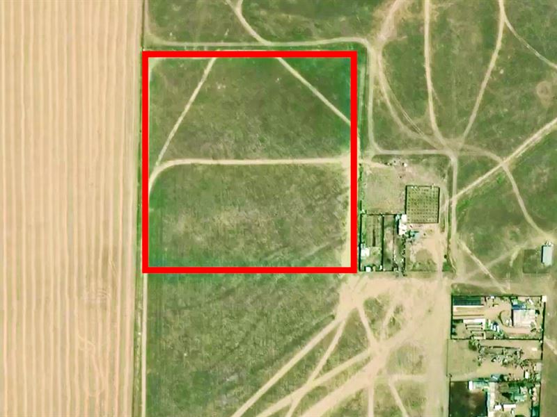 Agricultural 10 Acres, Great Price : Coalinga : Fresno County : California