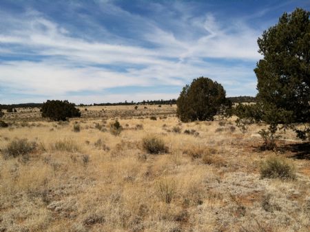 30 Acres 3 10 Acre Lot $18,900.00 : Grants : Cibola County : New Mexico