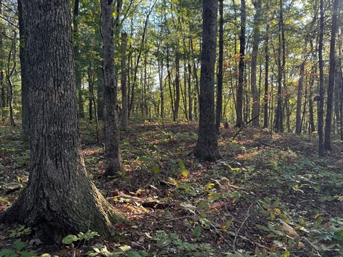 7.8 Acres Beautiful Secluded Wood : Spring City : Bledsoe County : Tennessee