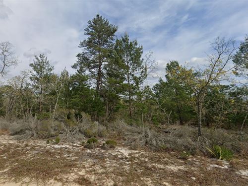 Mobile Home Friendly, Only $180/Mo : Interlachen : Putnam County : Florida