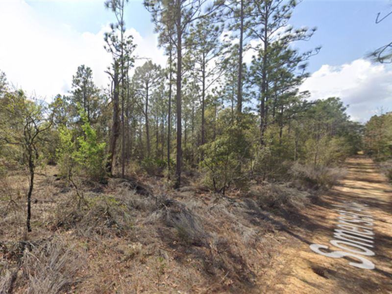 No Banks, No Hassle, Only $180/Mo : Interlachen : Putnam County : Florida