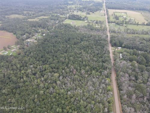 42 Acres For Sale With Old Country : Forest : Scott County : Mississippi